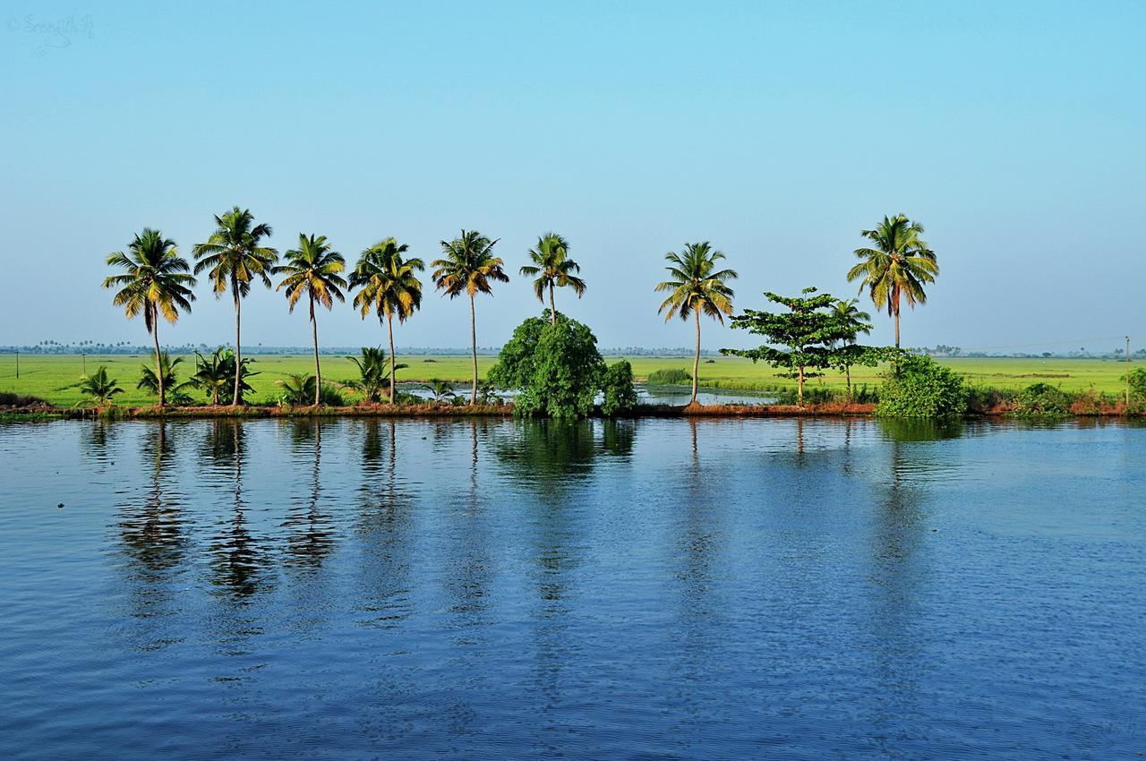 דירות Alappuzha Marari Peterland חדר תמונה